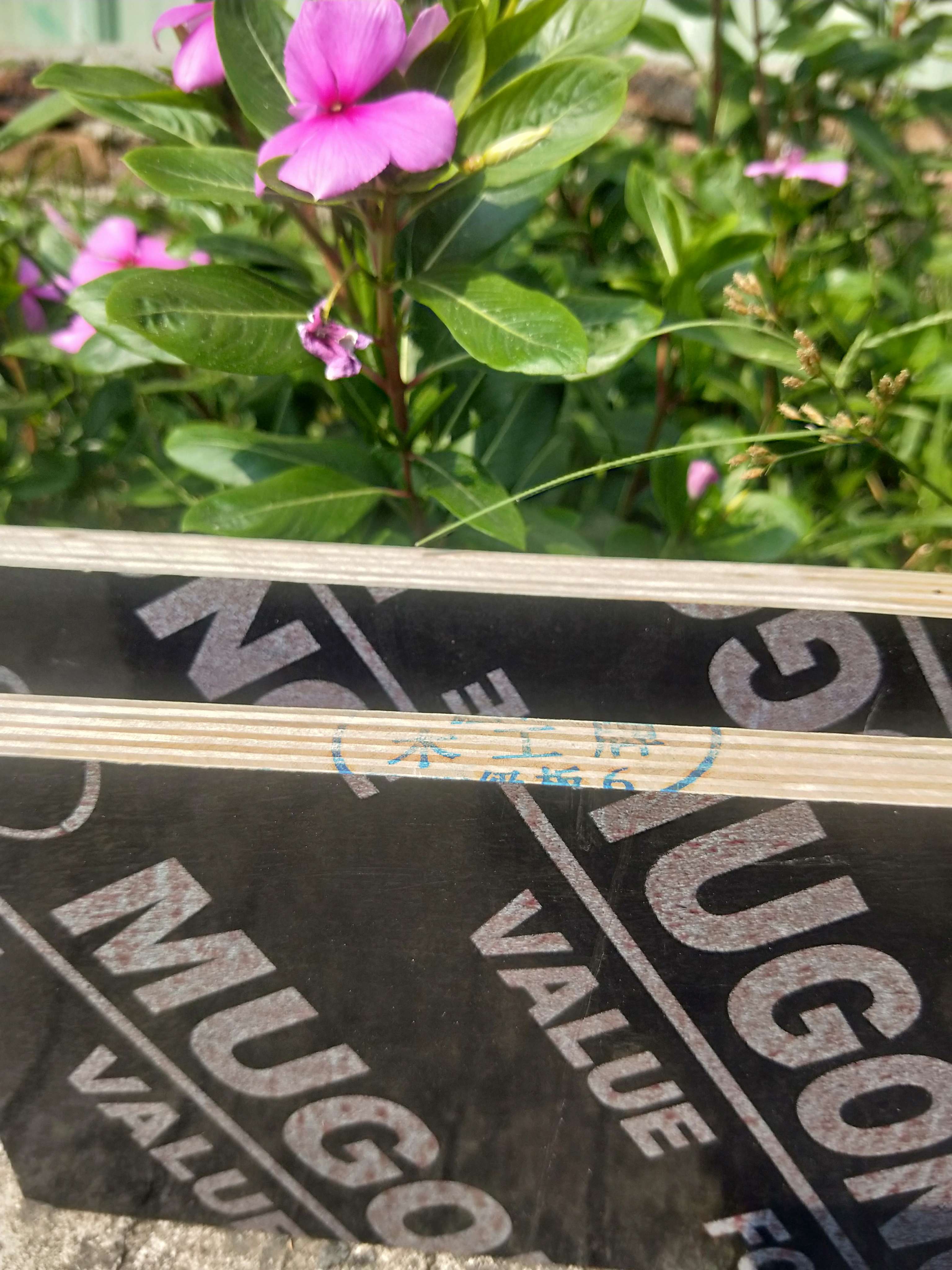 菲林板